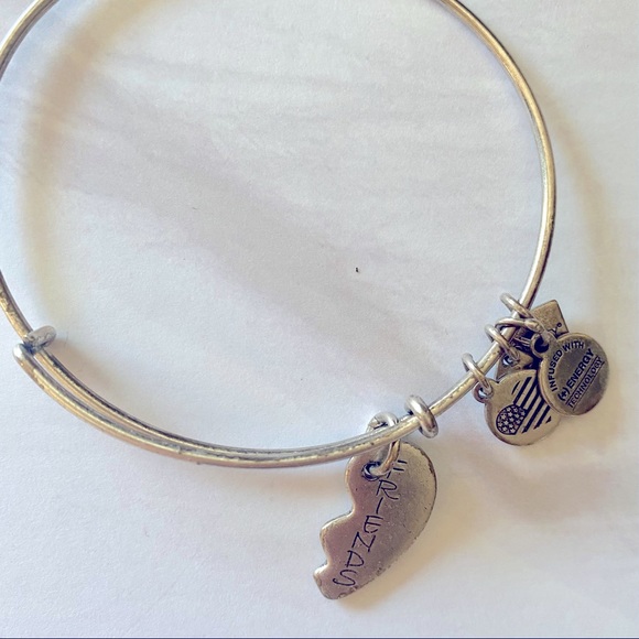 Alex and Ani Friendship Charm Bracelet - Picture 1 of 3
